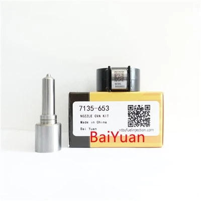 Kho cov khoom siv 7135-653 Rau Delphi Injector
